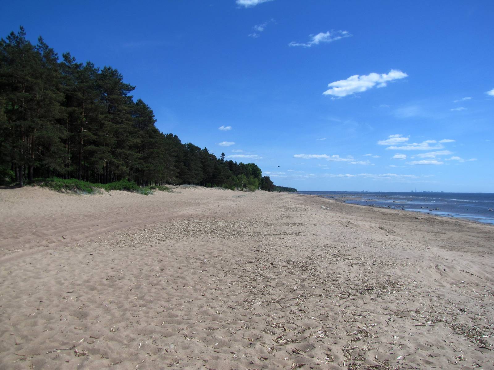 Комаровский берег пляж