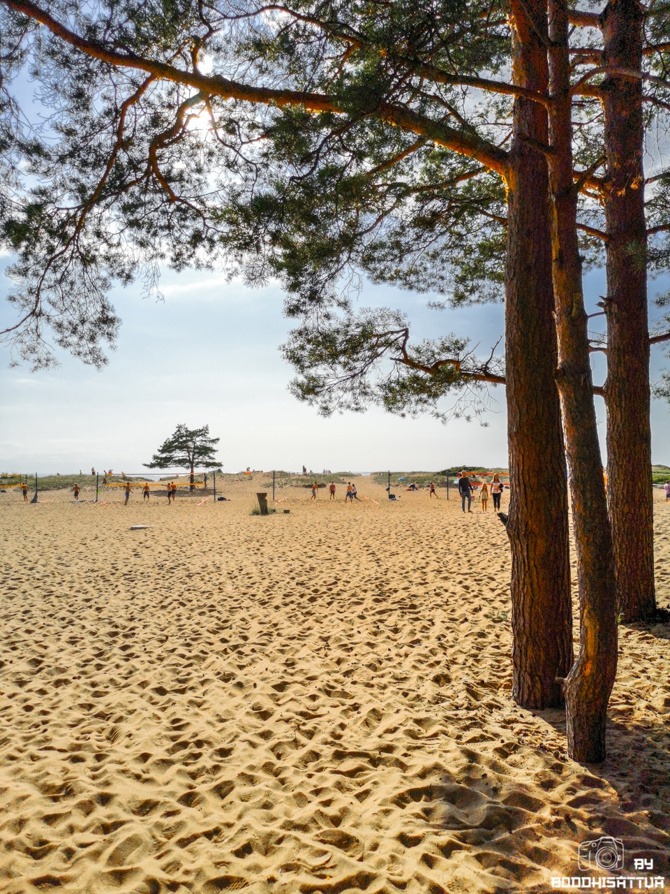 солнечное поселок санкт петербург пляж