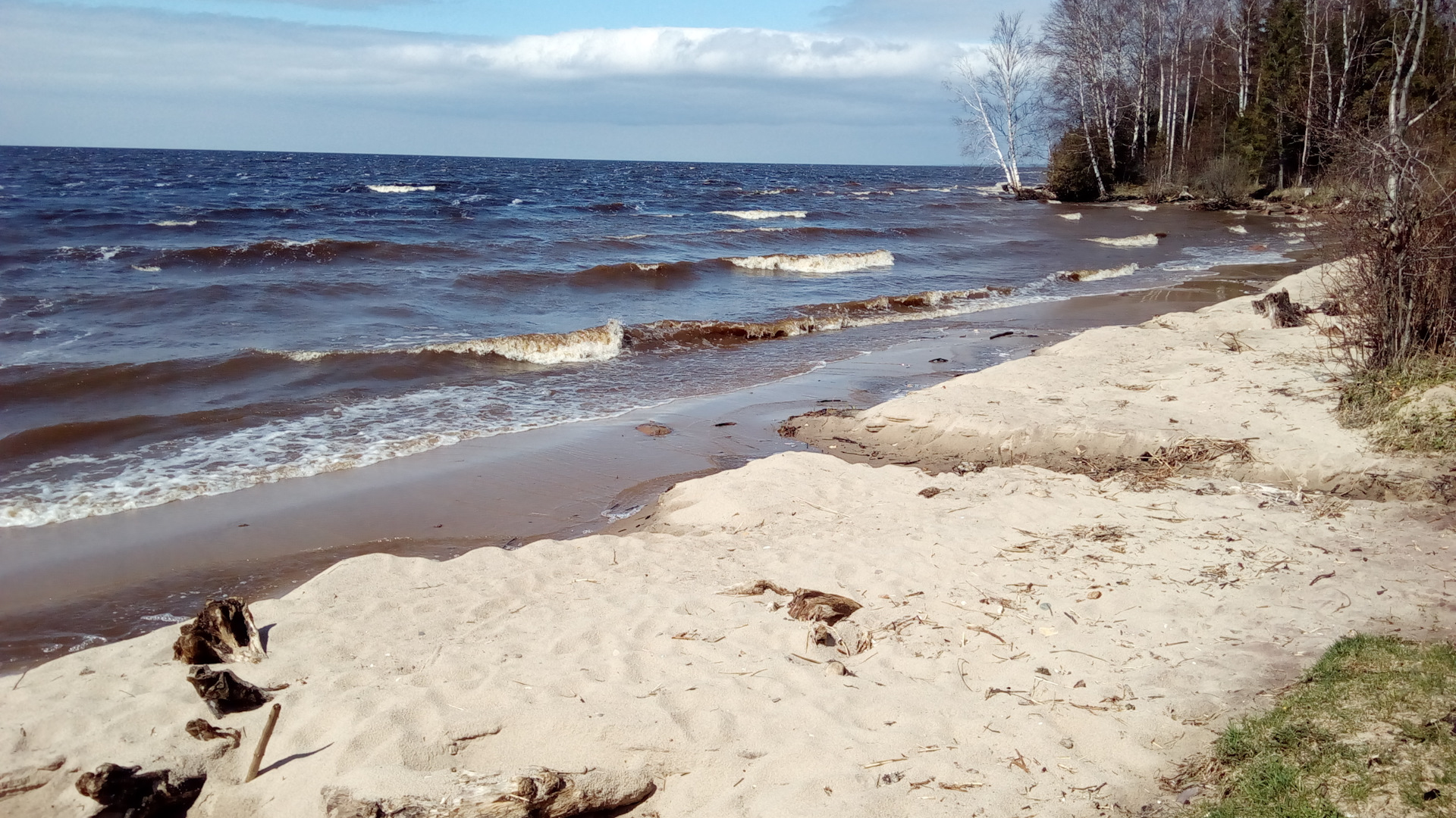 Милюшино Рыбинское водохранилище пляж