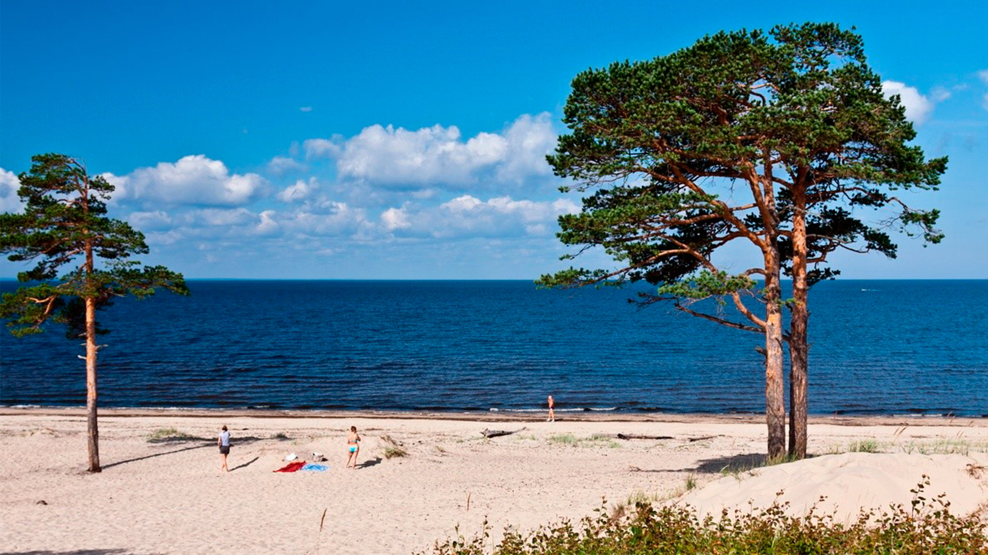 море в северодвинске