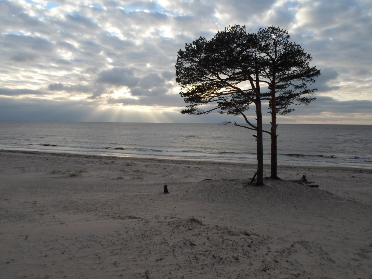 море в северодвинске