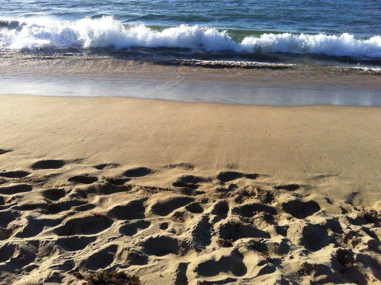 На песчаном пляже - 14 фото