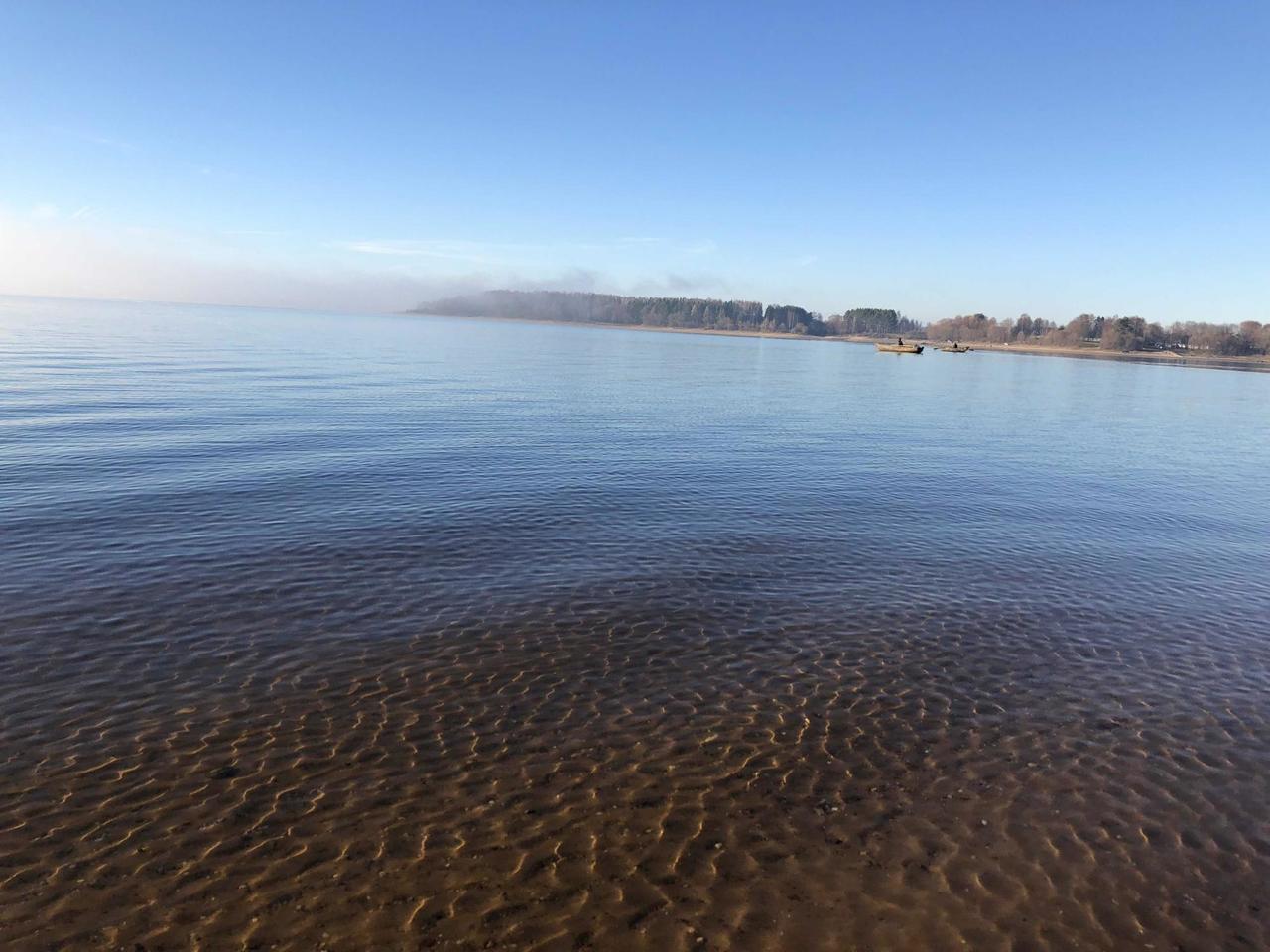 Можайское водохранилище прозрачность воды