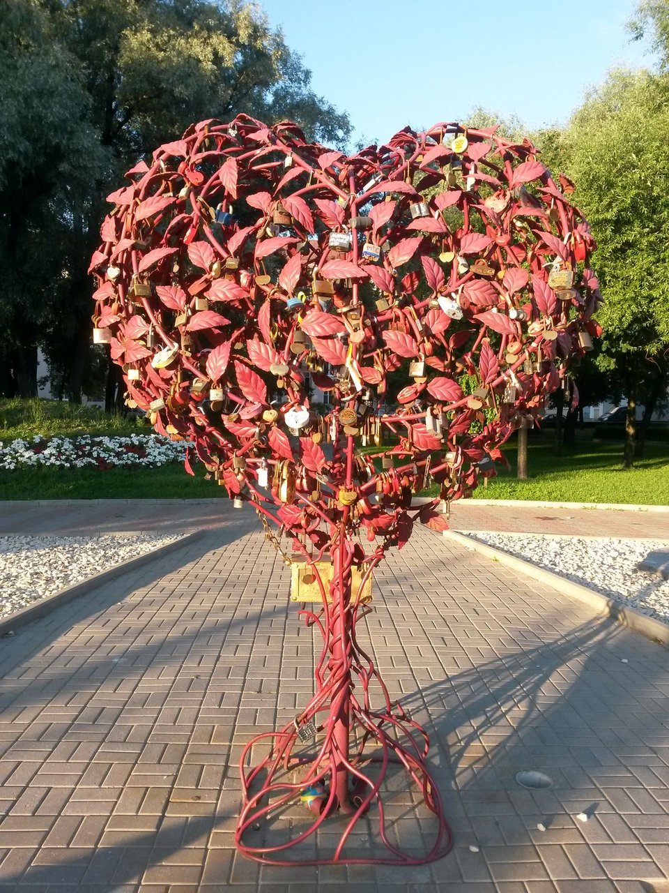 дерево в виде сердца фото