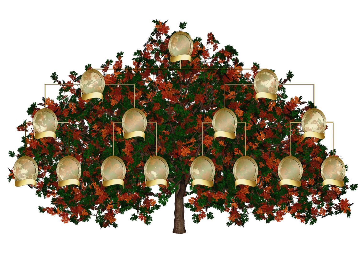 Генеалогическое дерево для фотошопа
