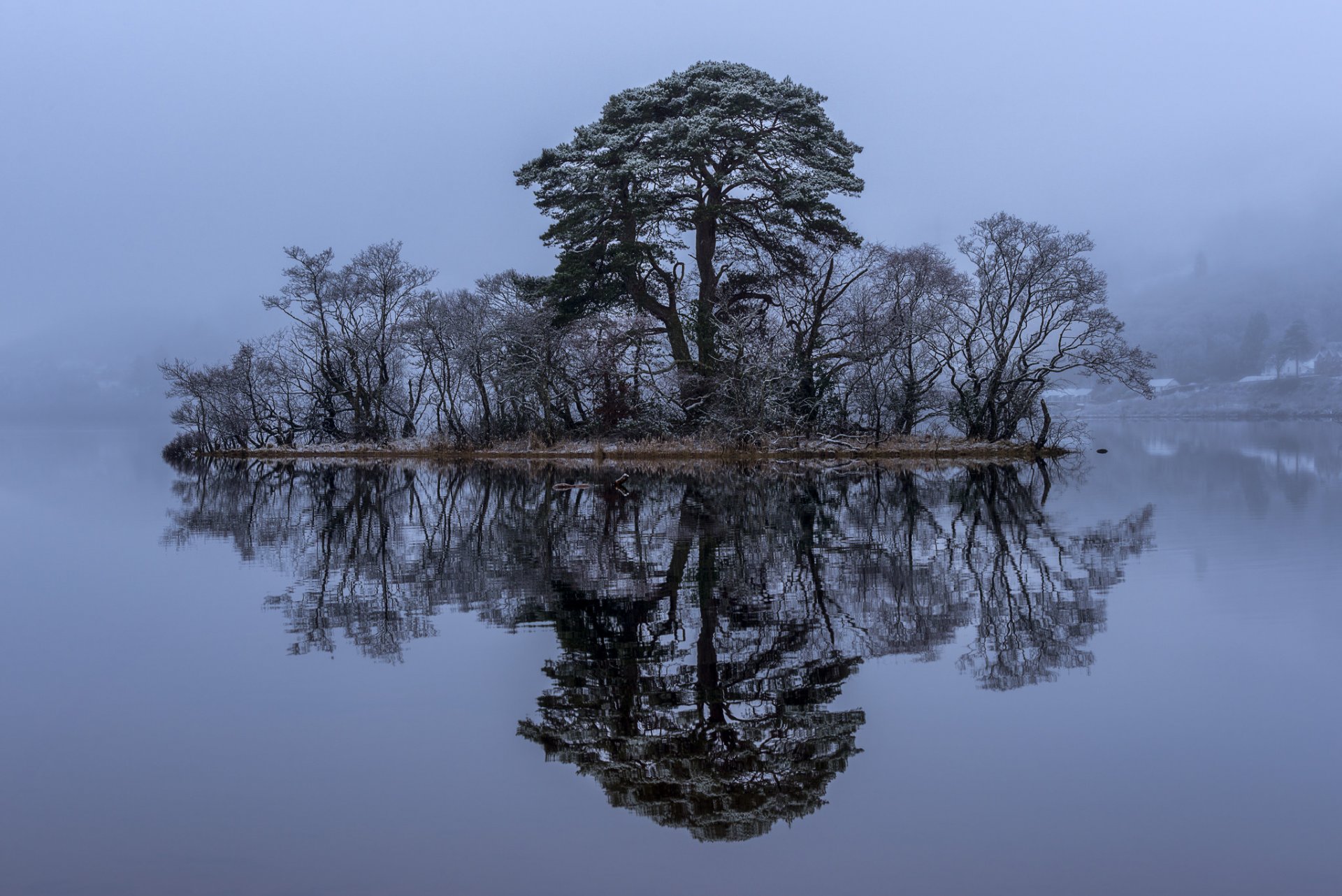 Отражение дерева в озере