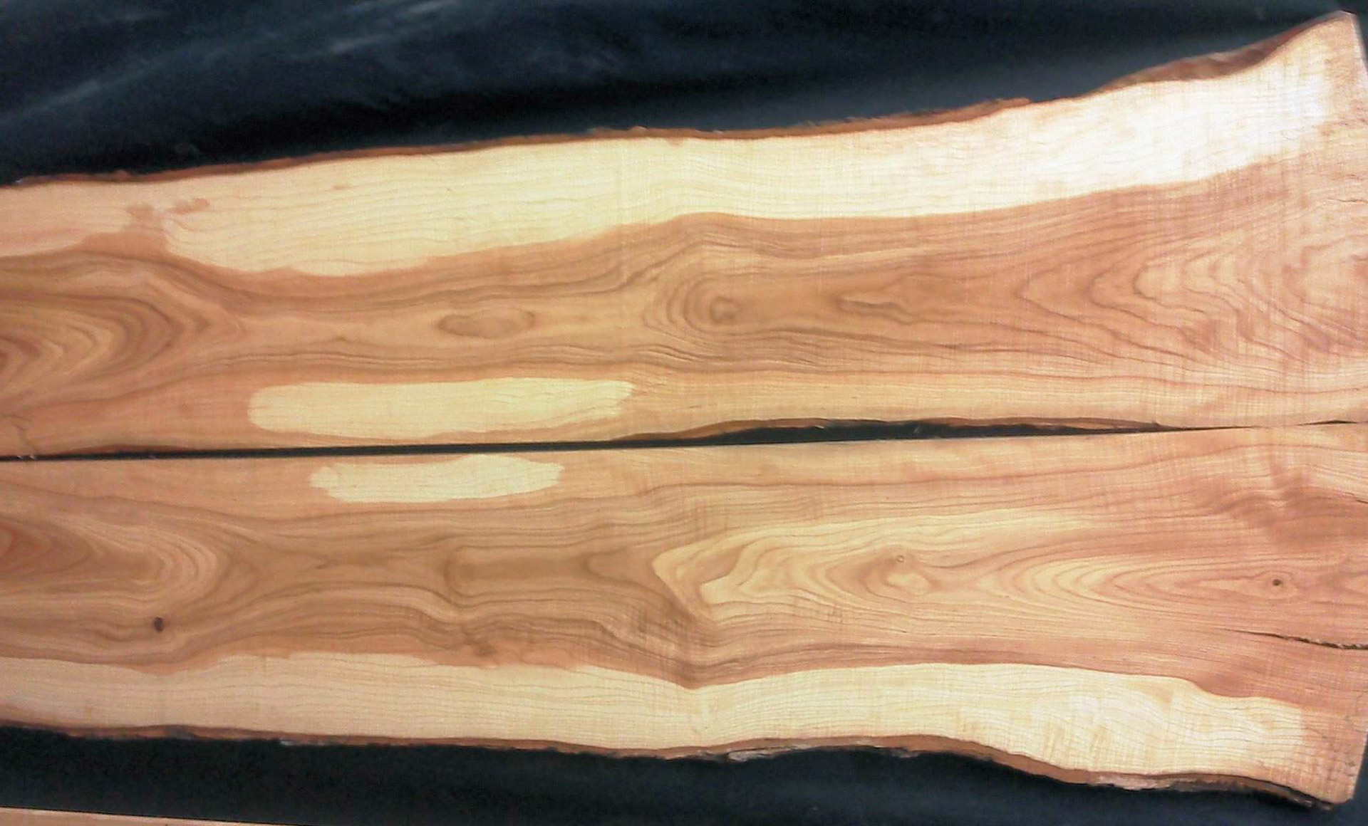 Струйчатый клен древесина