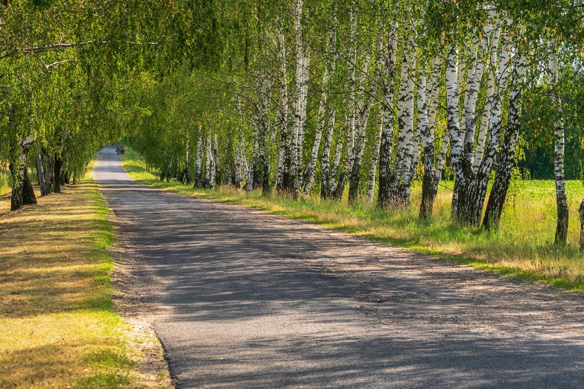 фото белорусских дорог