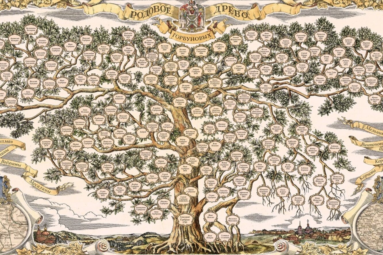 Дерево предков рисунок
