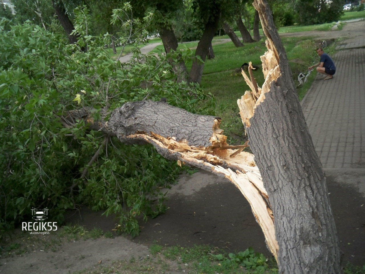 Ураган в Омске: «по улицам летали деревья»