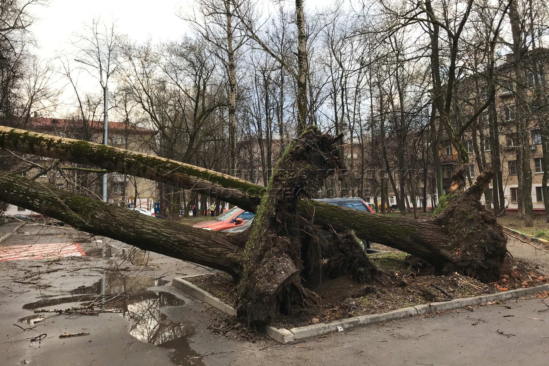 Ураган в Москве 13 марта 2020