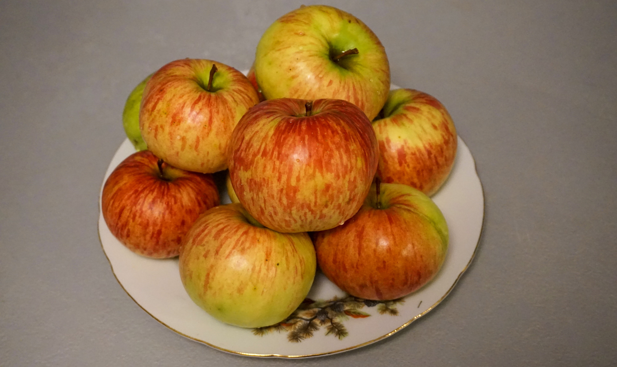 Яблоки коричные фото