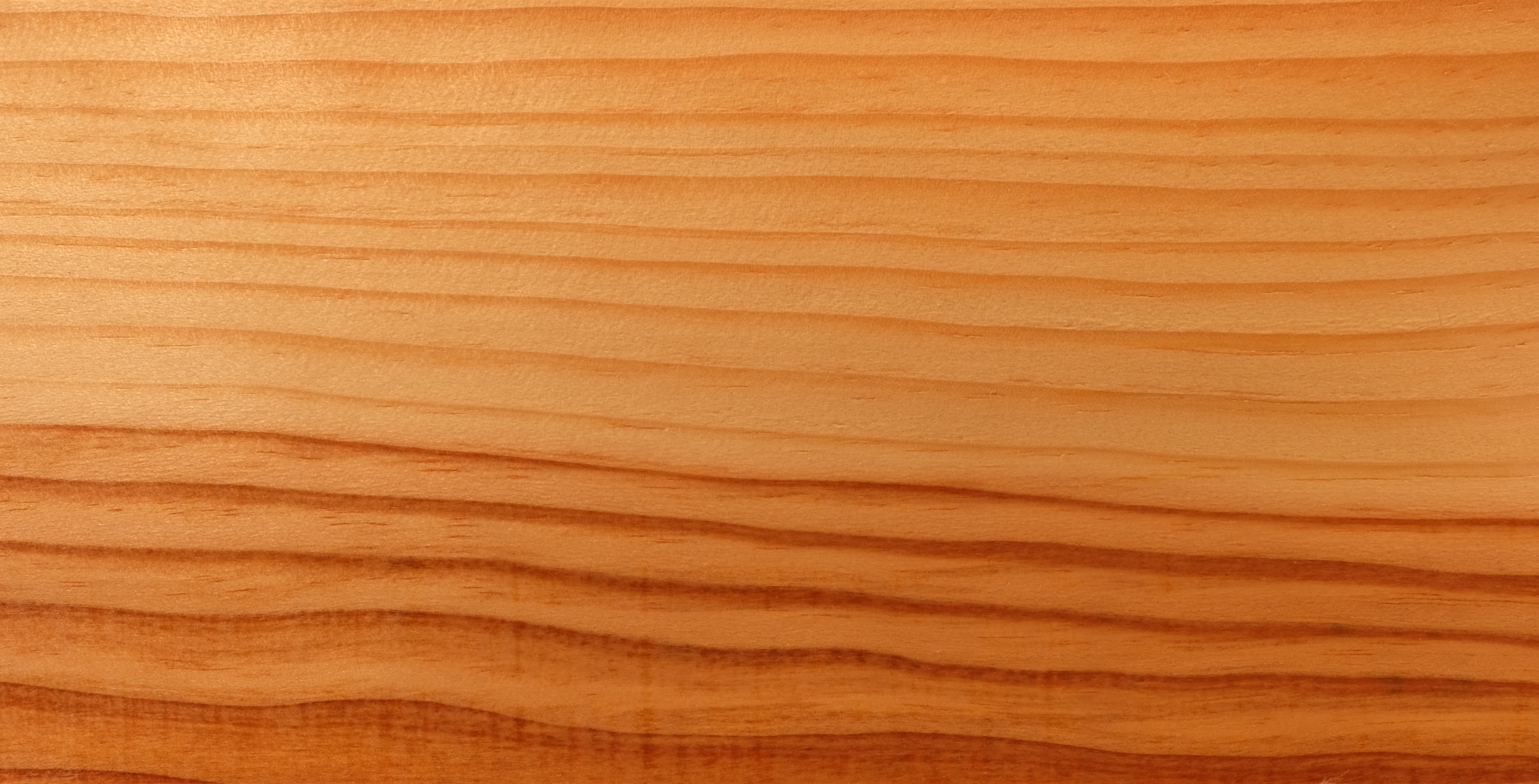 Еловая древесина текстура