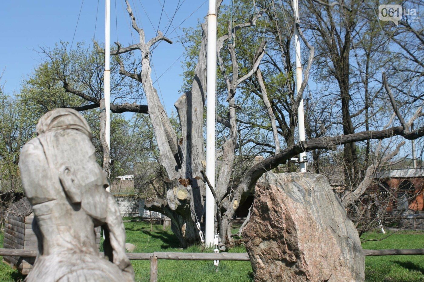 Запорожский дуб на Хортице