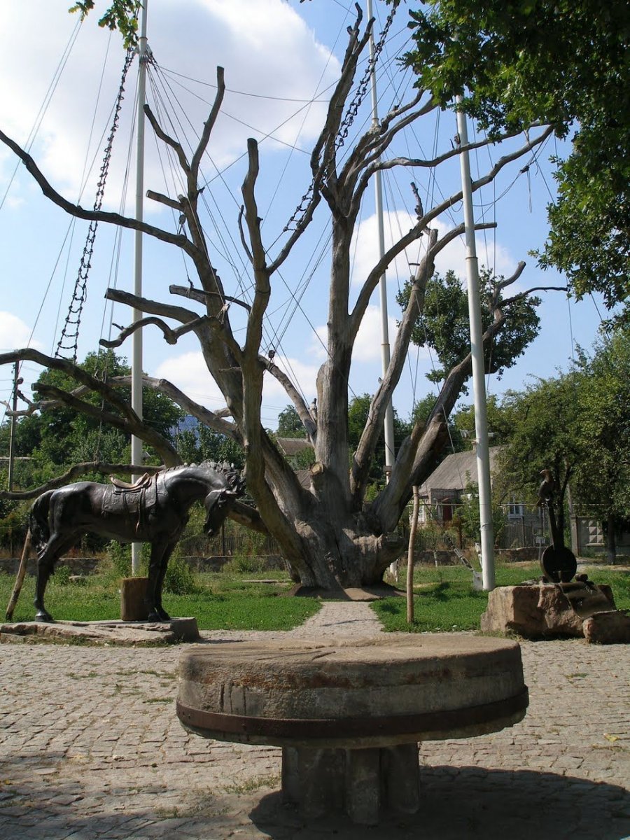 Знаменитый Запорожский дуб