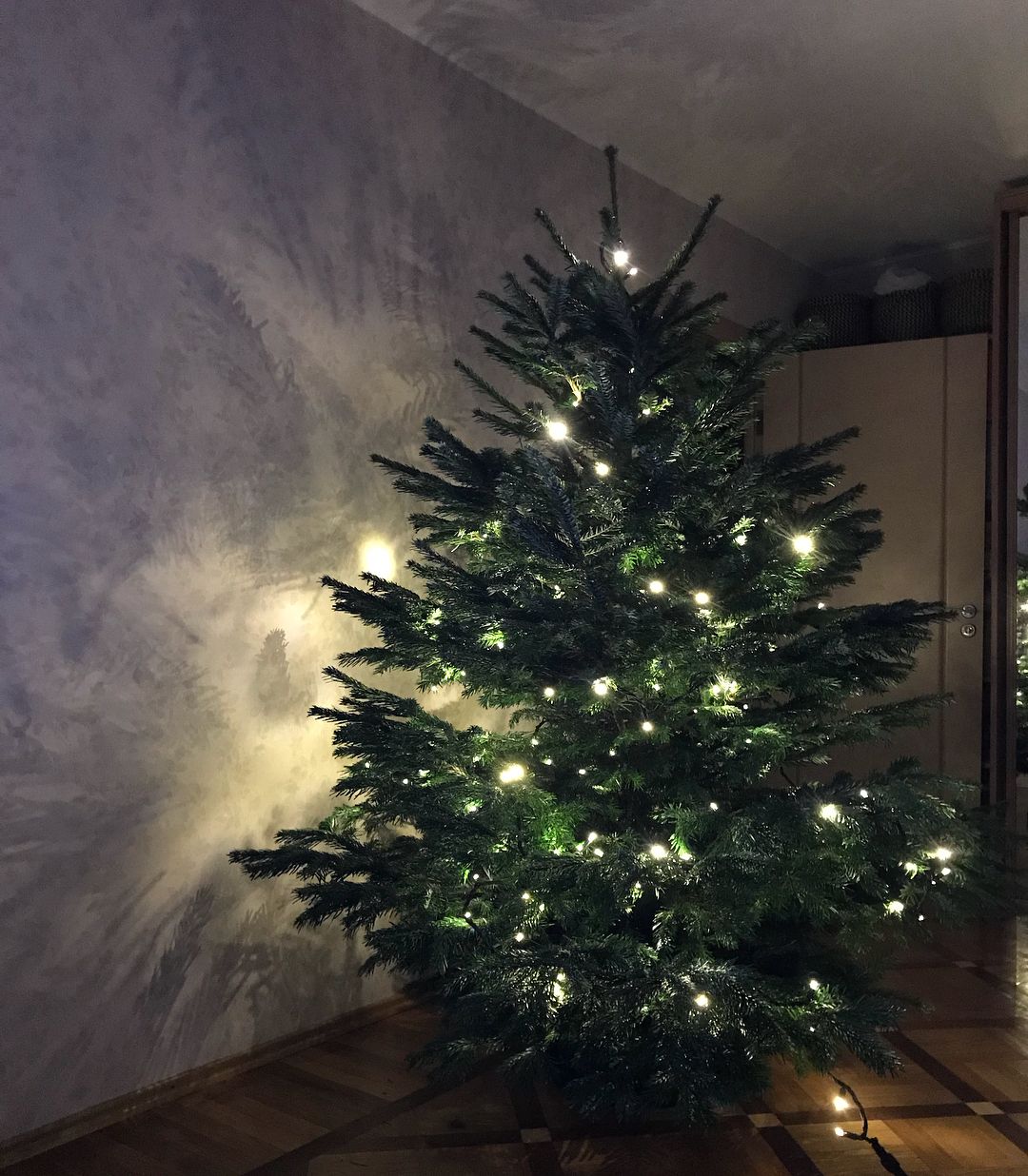 Живая елка на новый год