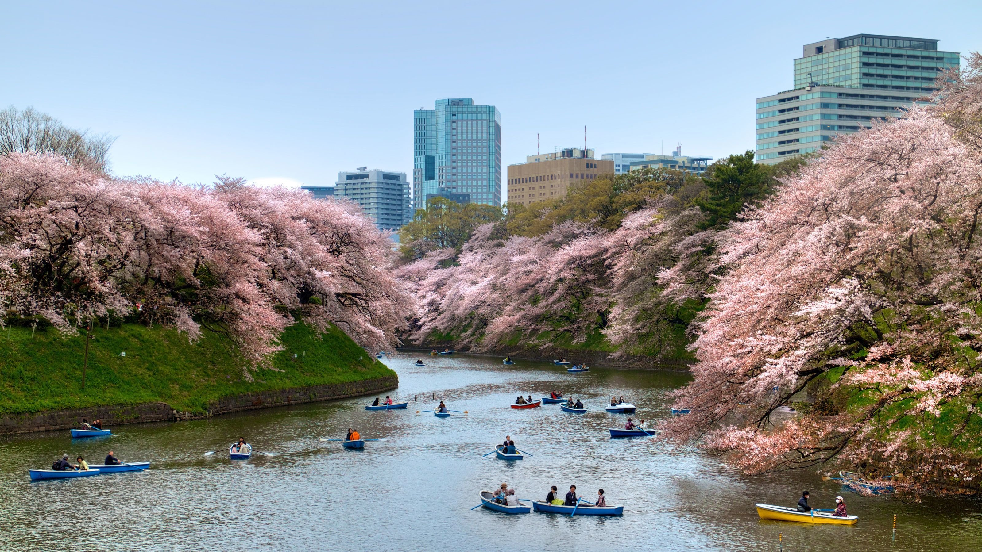 Япония весной Токио