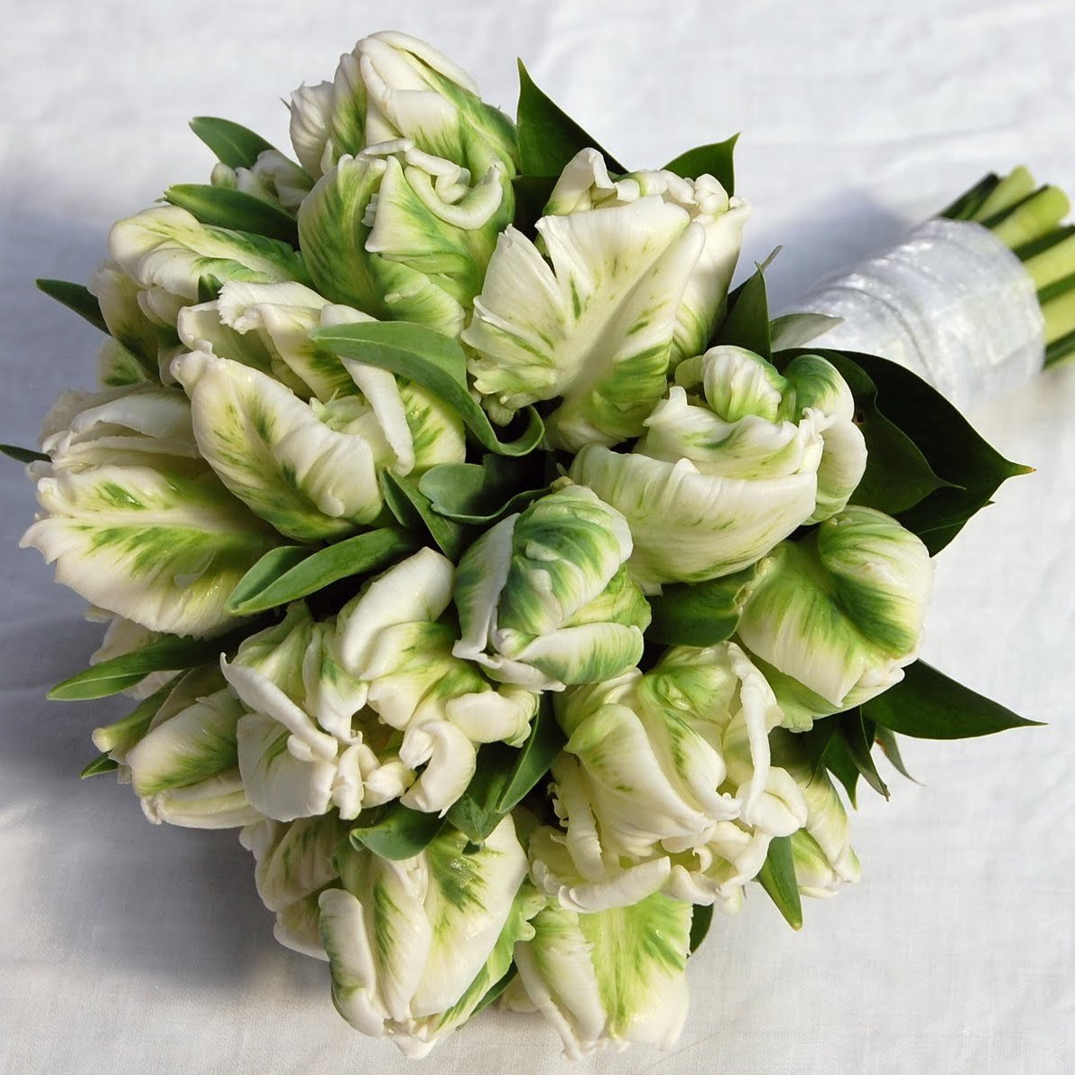 Пионовидные тюльпаны зеленые