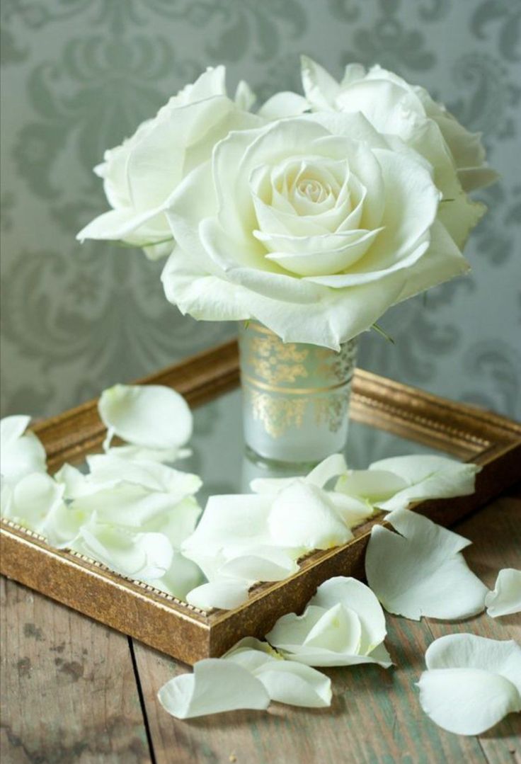 Белые розы на столе