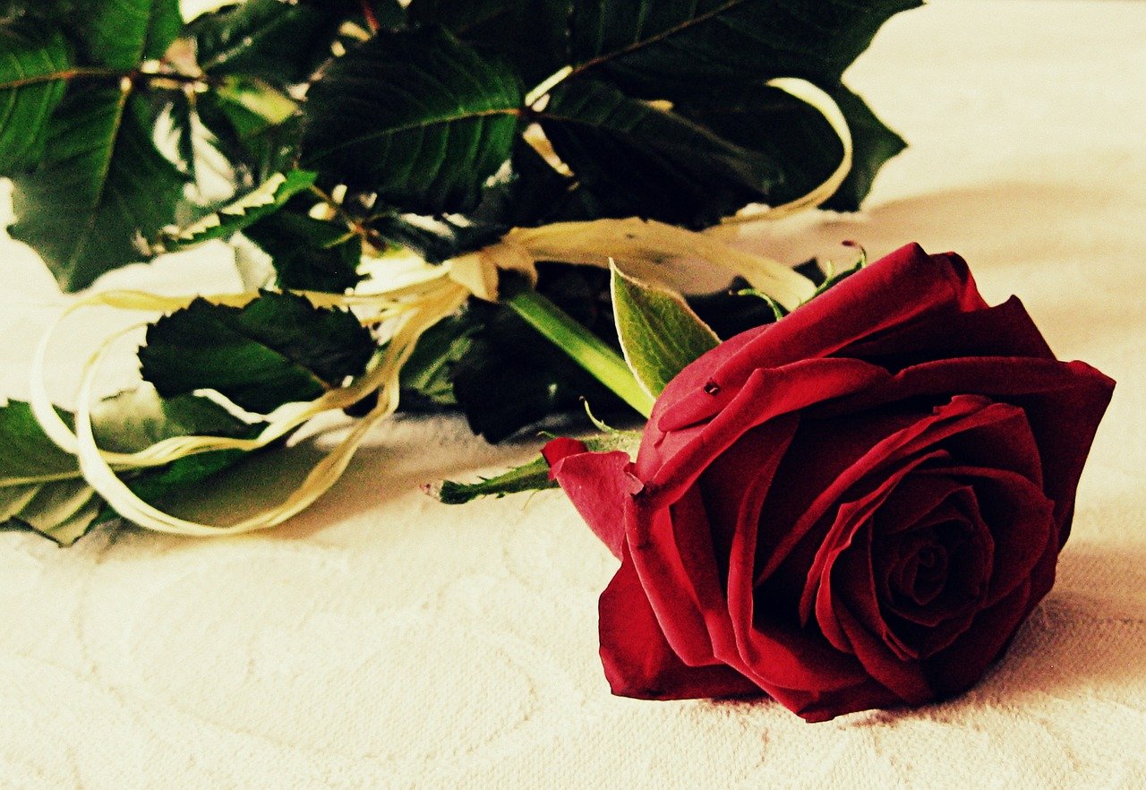 Цветы розы красивые романтические букеты