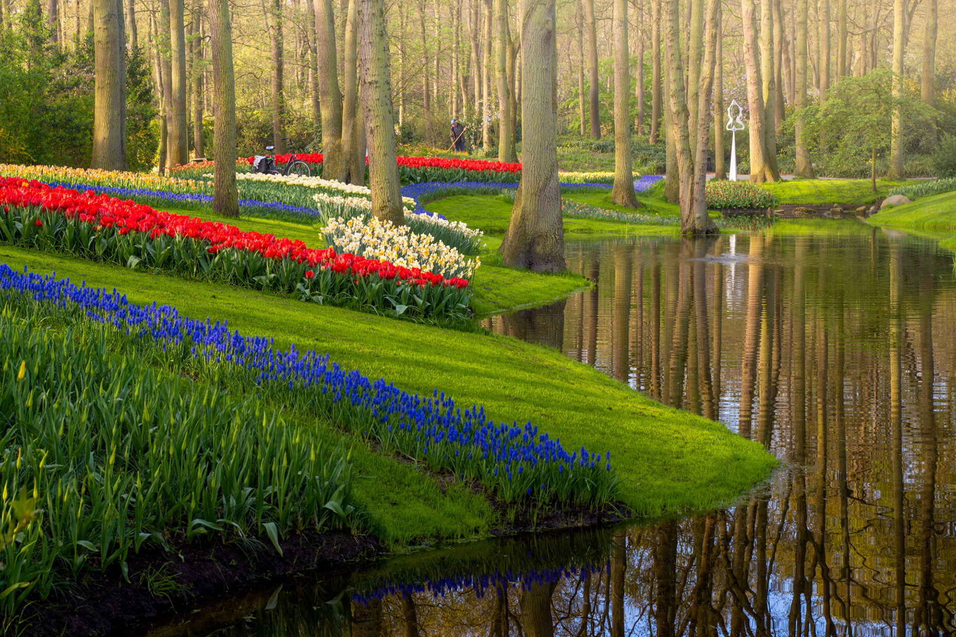 парки голландии фото