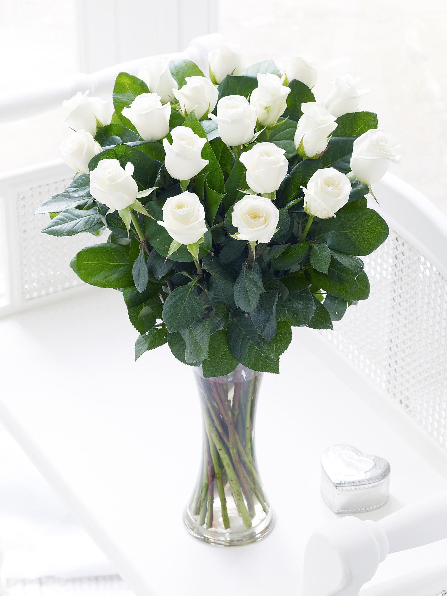 букет белых роз фото дома