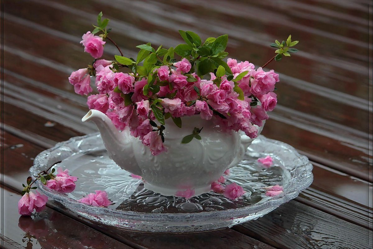 Красивые цветы в чаше