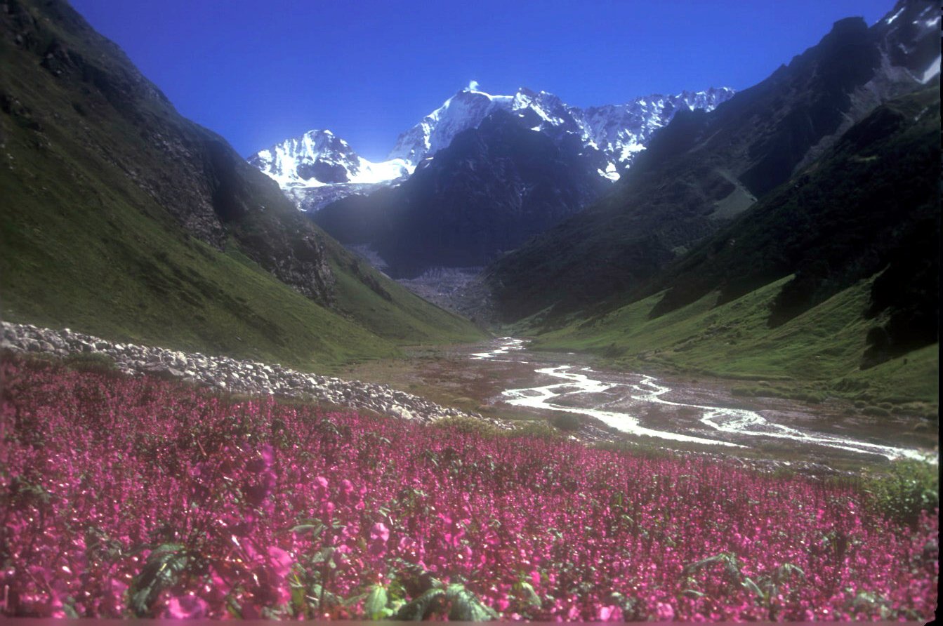 Национальные парки Нанда-Деви и «Долина цветов» (штат Уттаракханд)