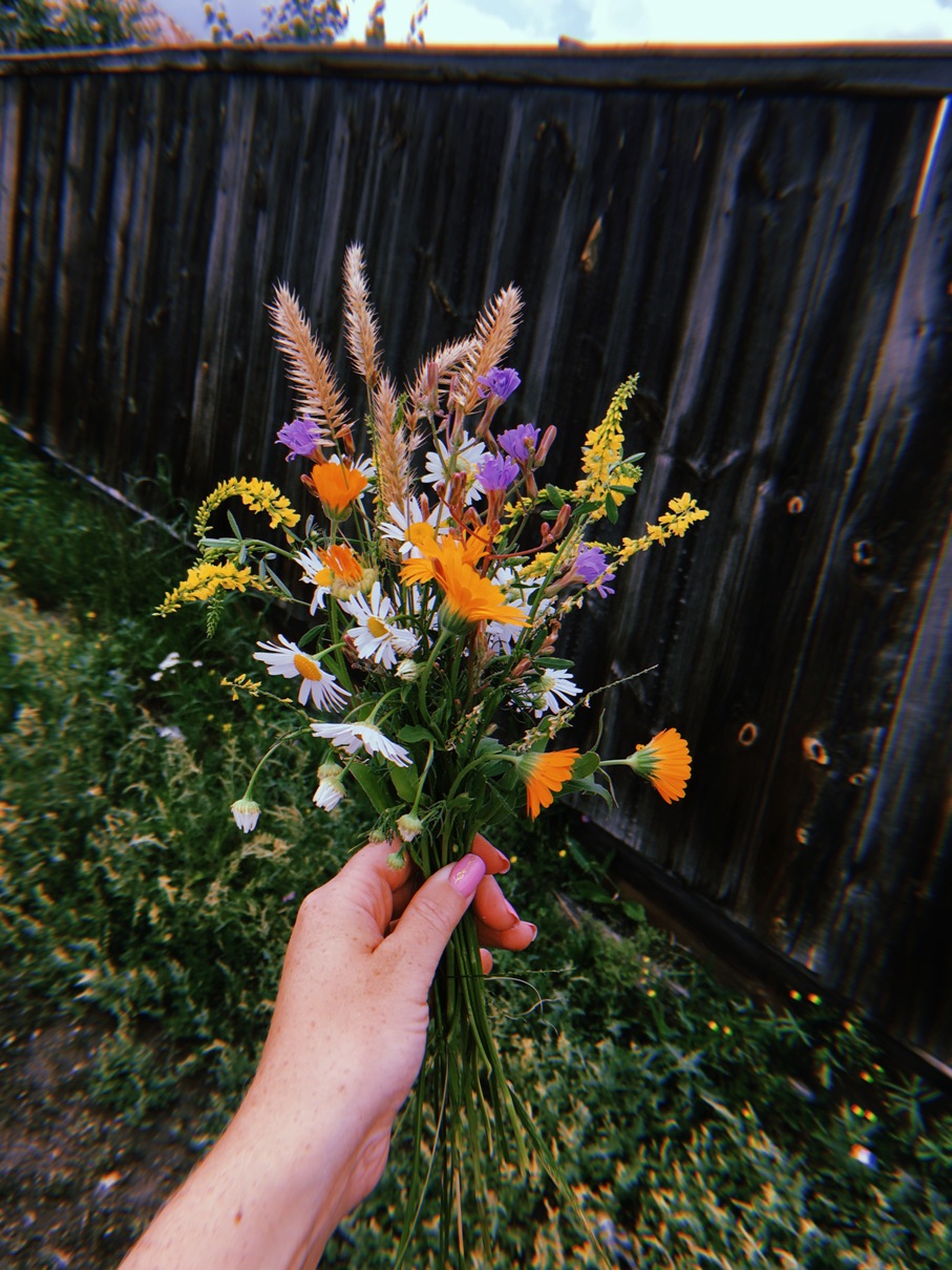 Букетик полевых цветов в руке