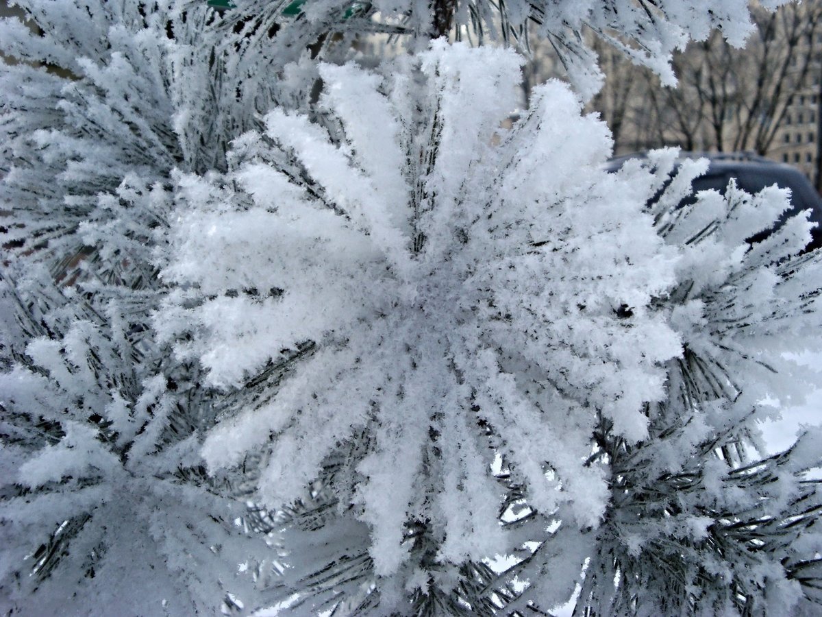 Замечательная голая снежинка 20 фото