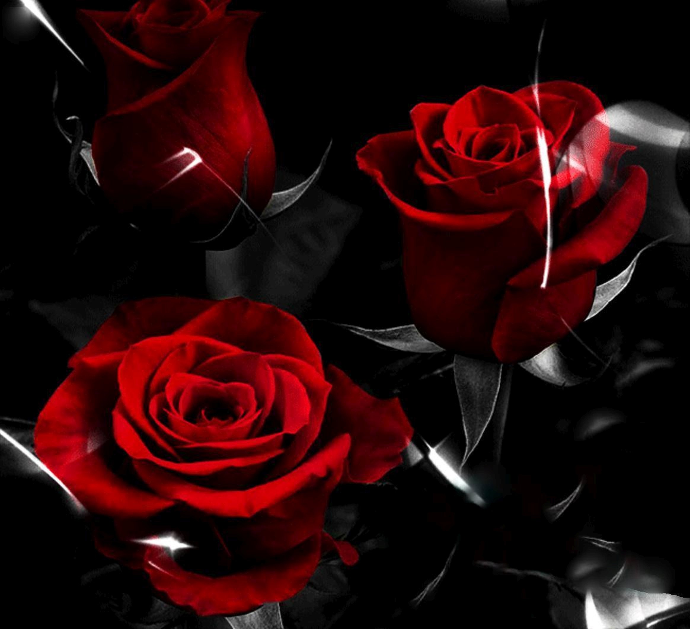 спокойной ночи картинки с розами розовые