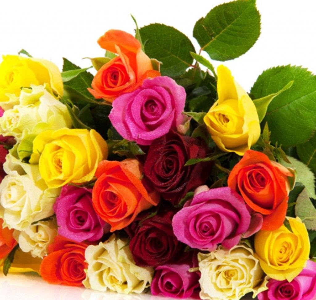 Яркий букет разноцветных роз