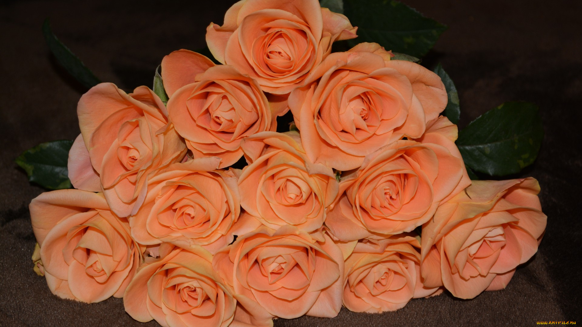букет из персиковых роз фото