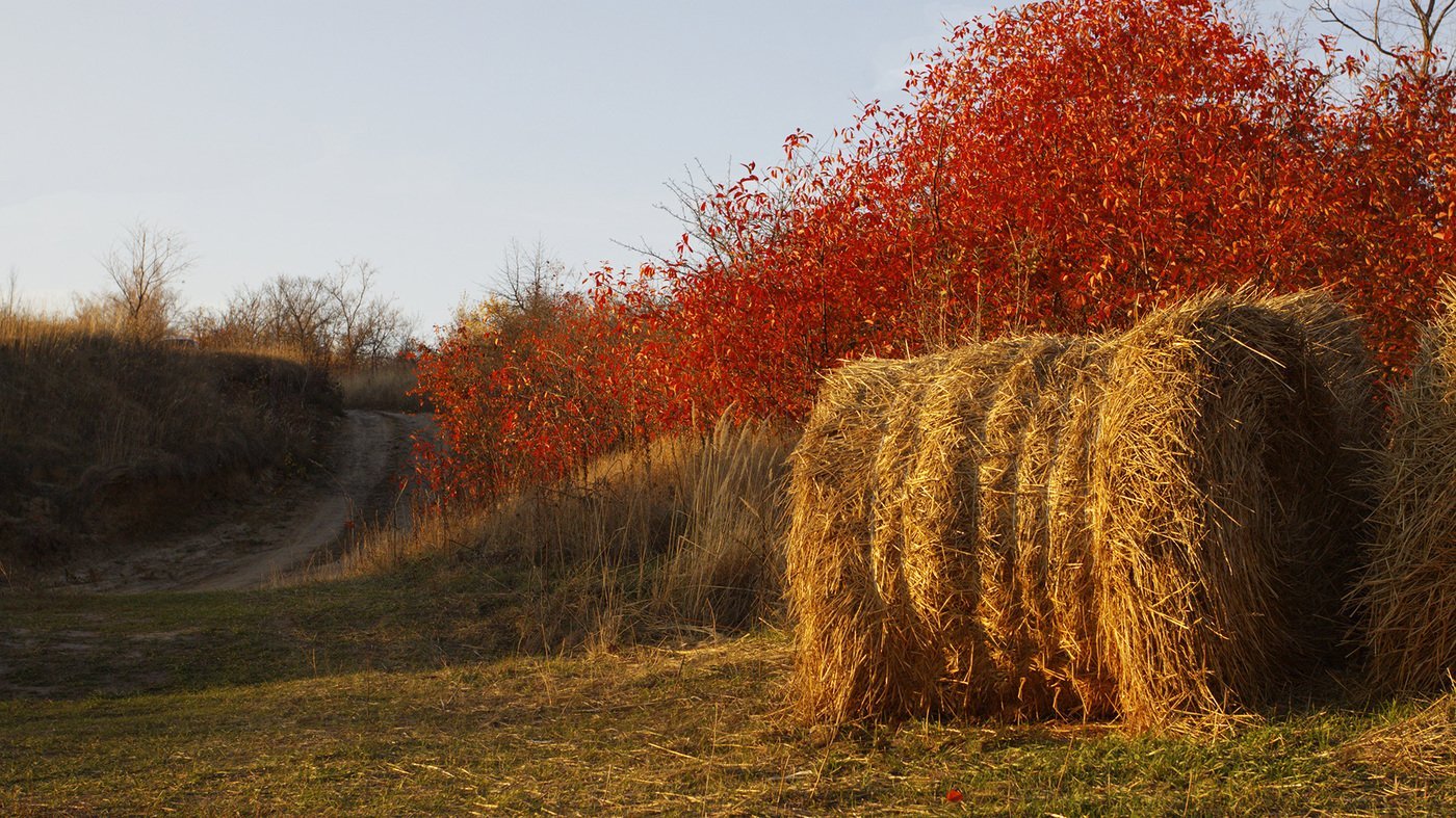 Алтай осень поле стог сена