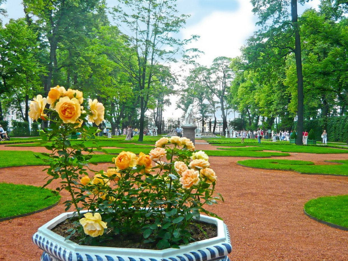 парки в спб для