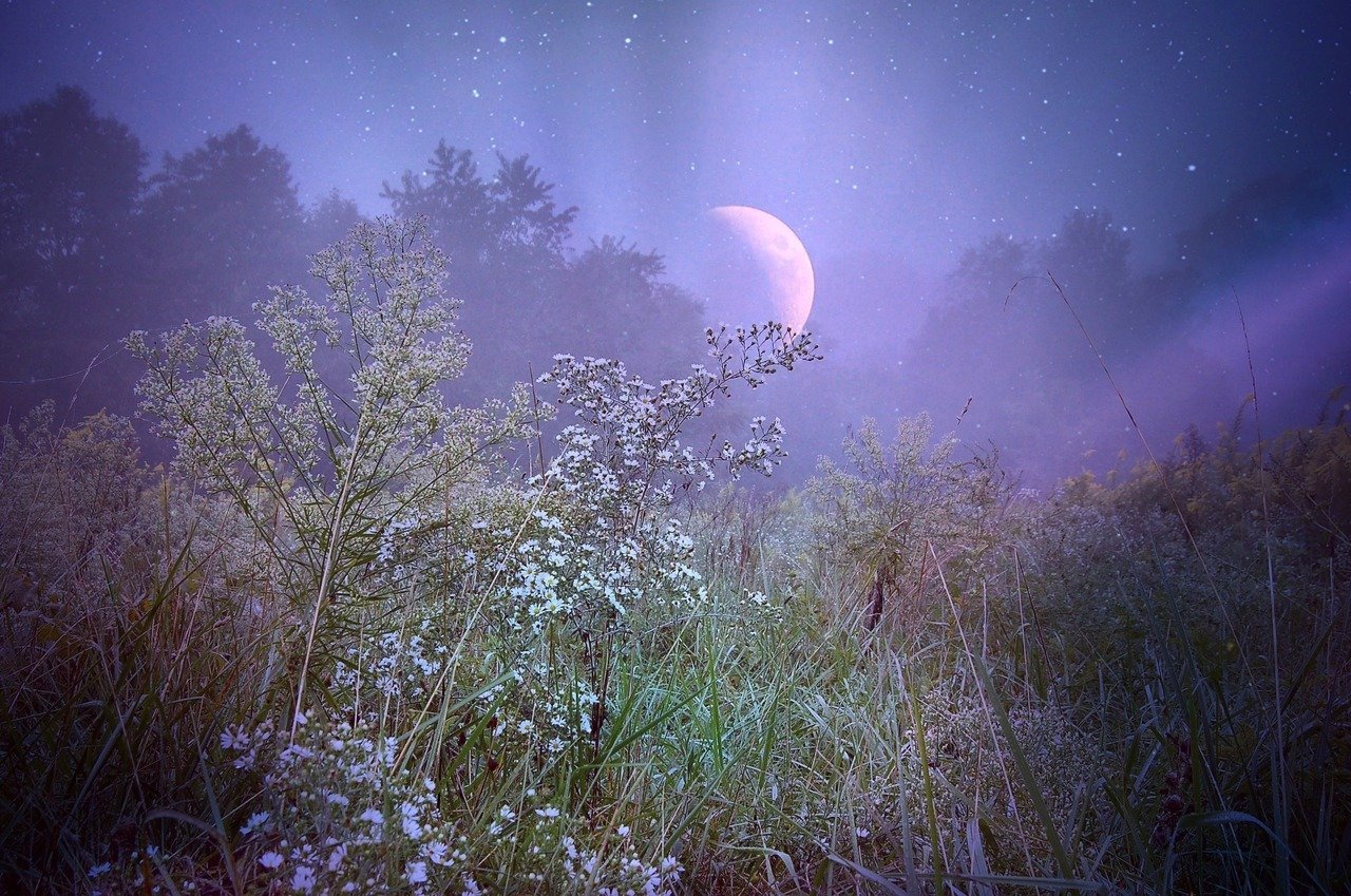 Ivory moonlight fan photo