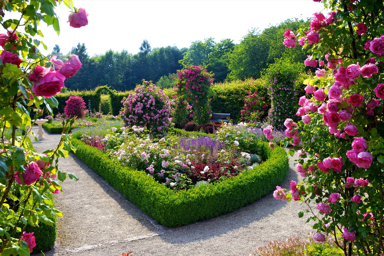 Красивый Сад Фото