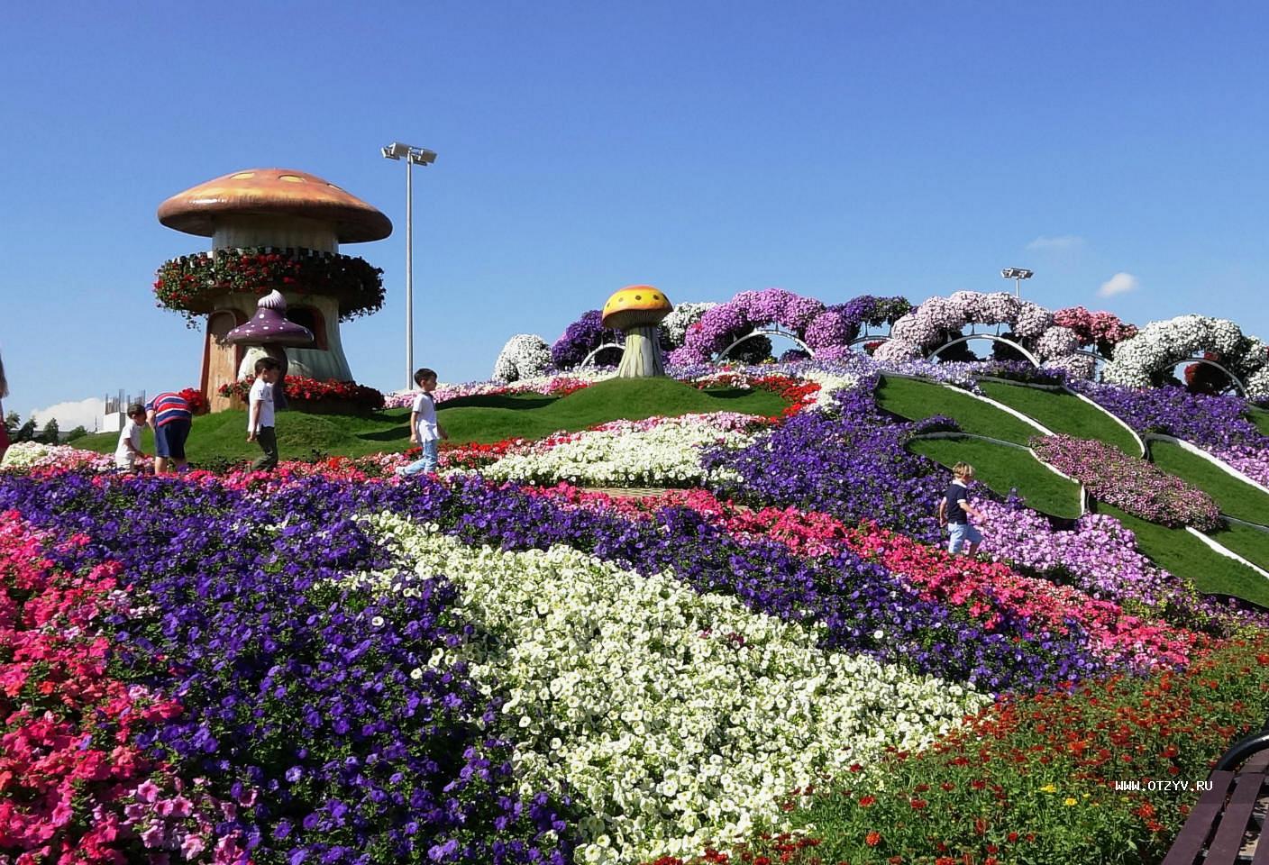 Парк цветов в Дубае