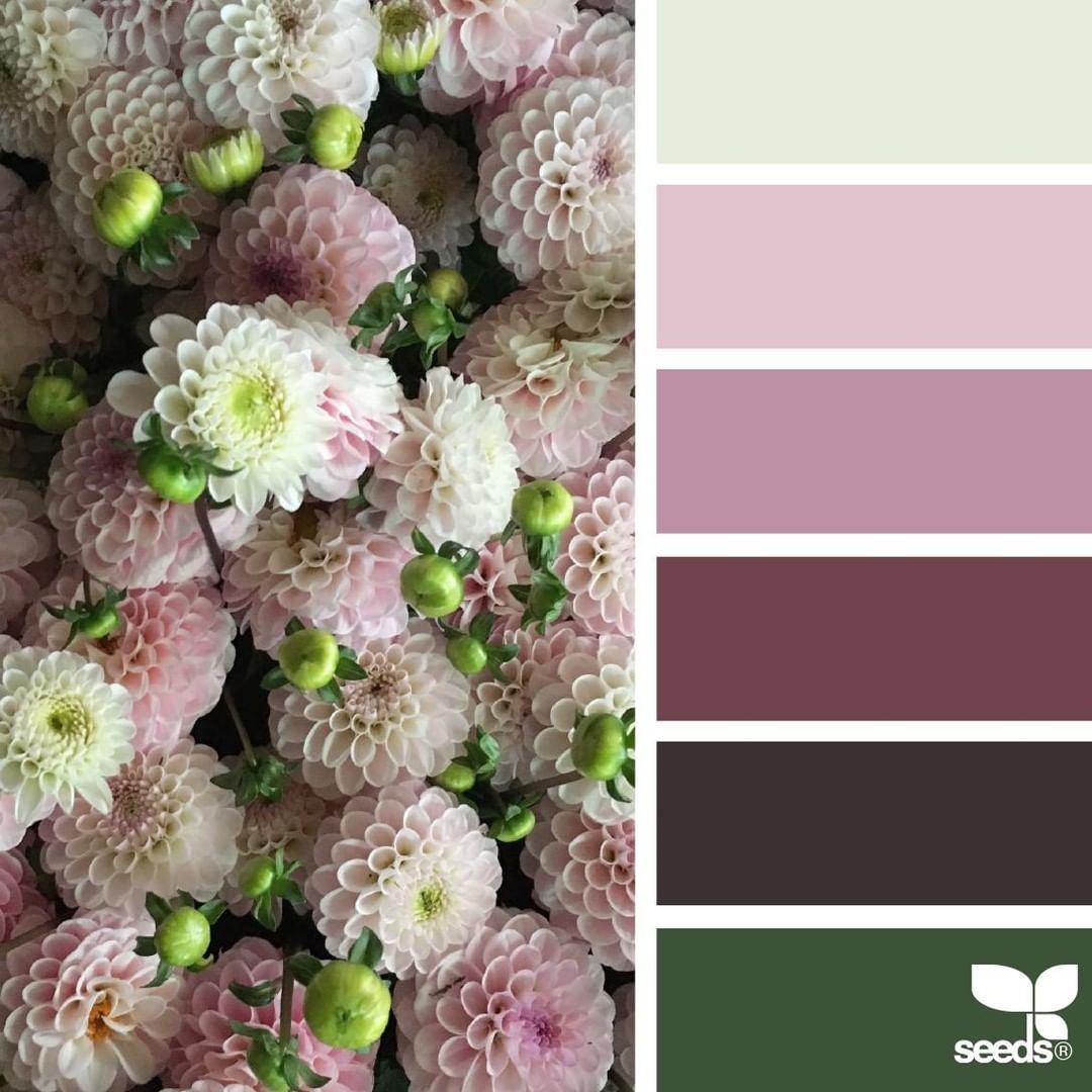 Seeds Color Palette изумрудный