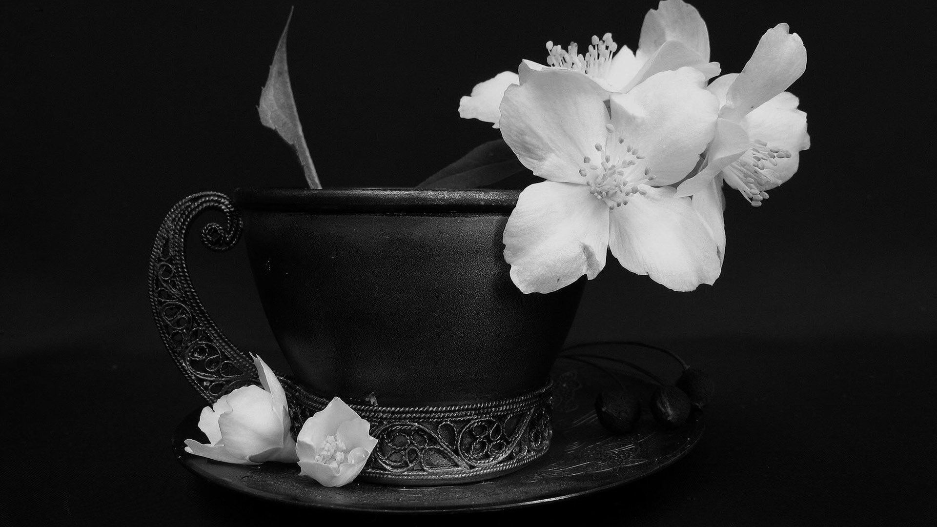 Натюрморт в черно-белом цвете