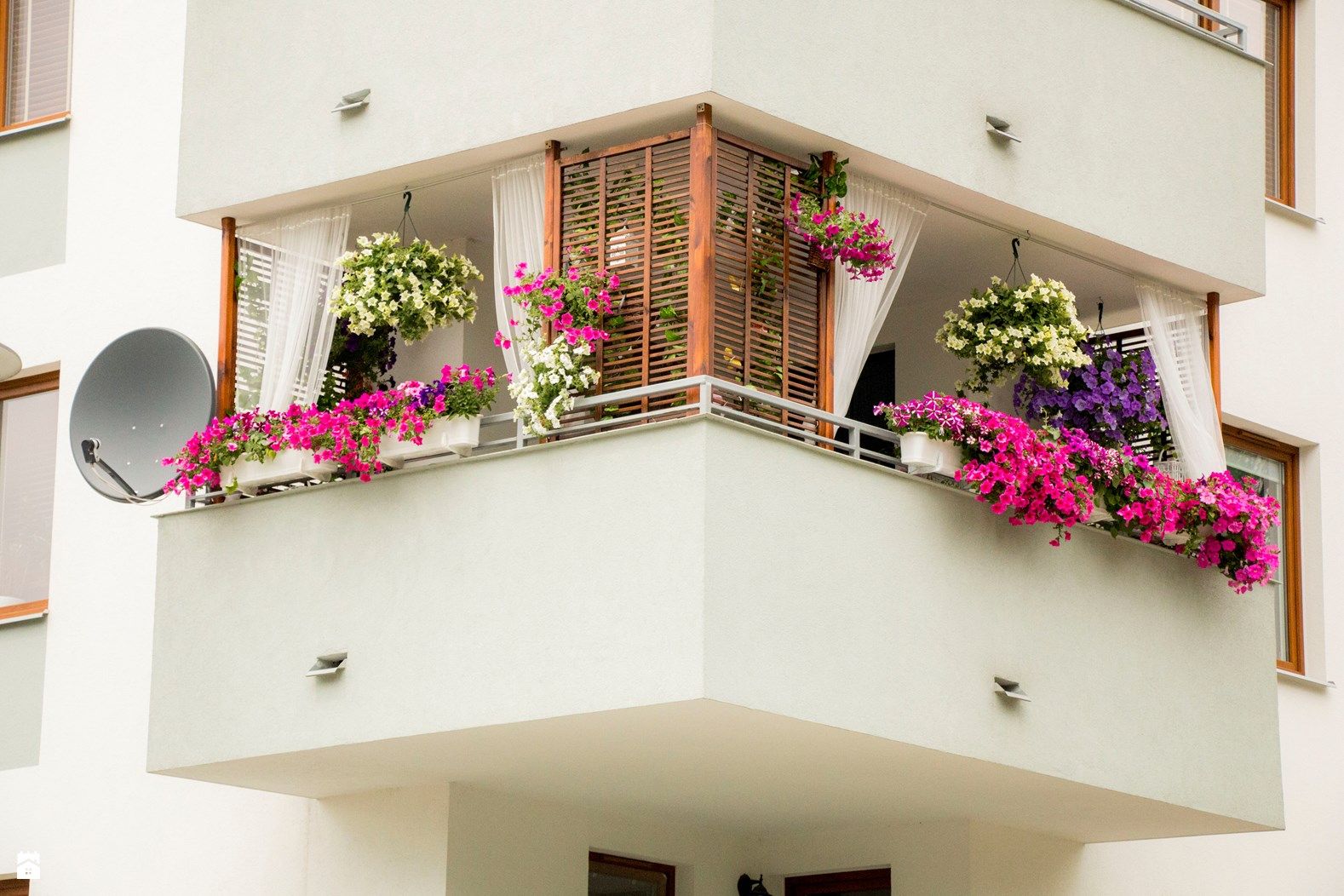 Цветы На Застекленном Балконе Фото