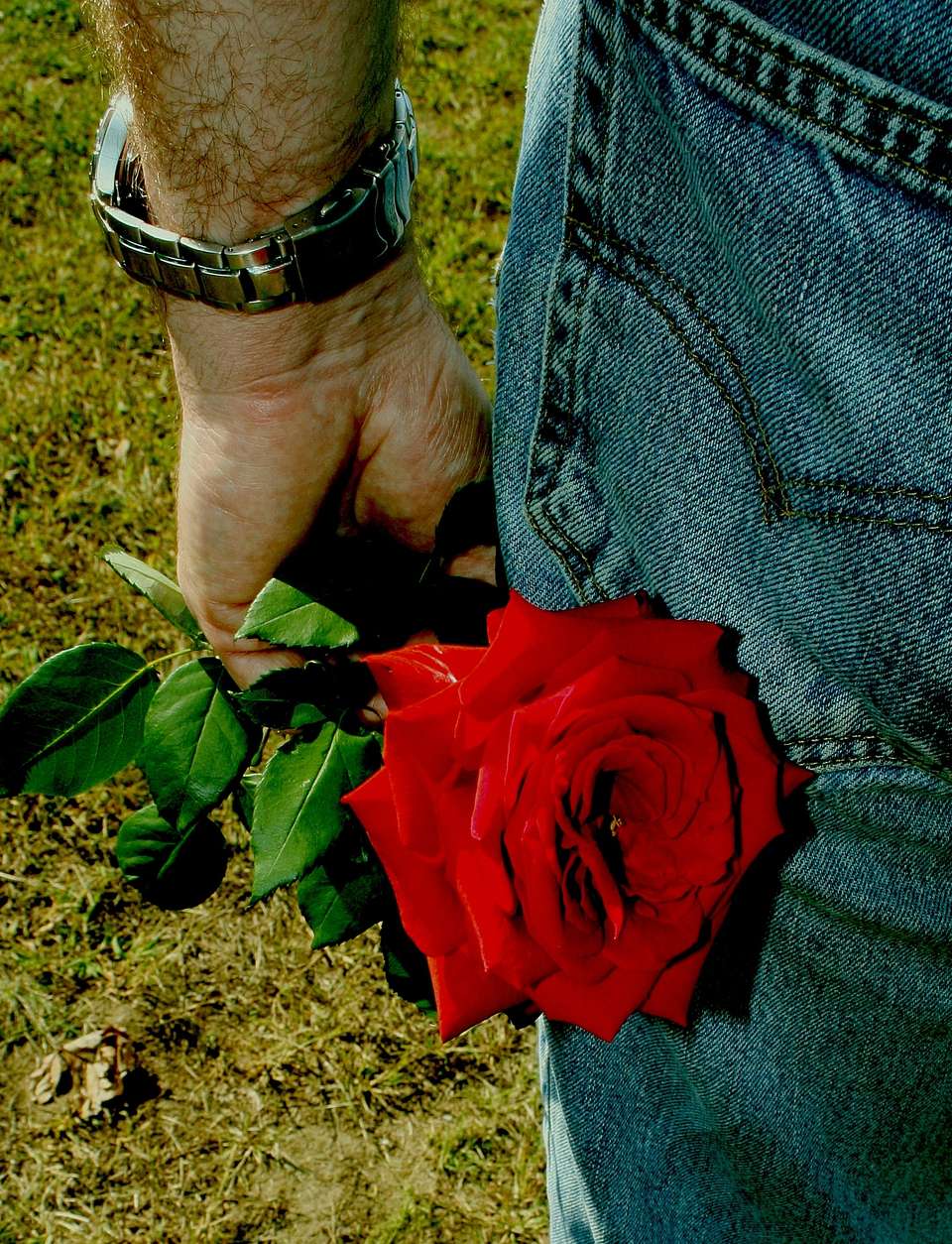 картинки роза в руке мужчины