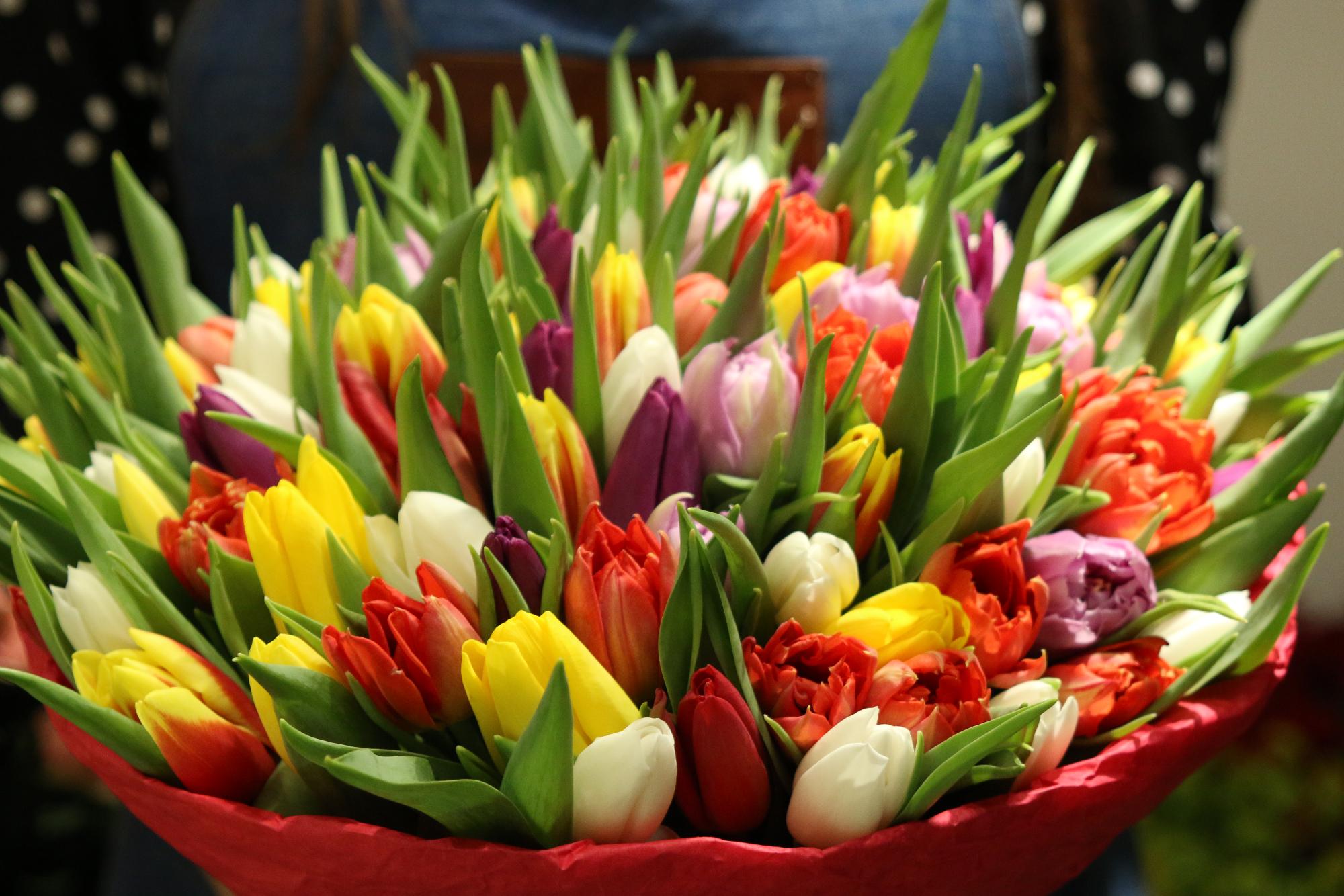 Букет разноцветных тюльпанов вертикально