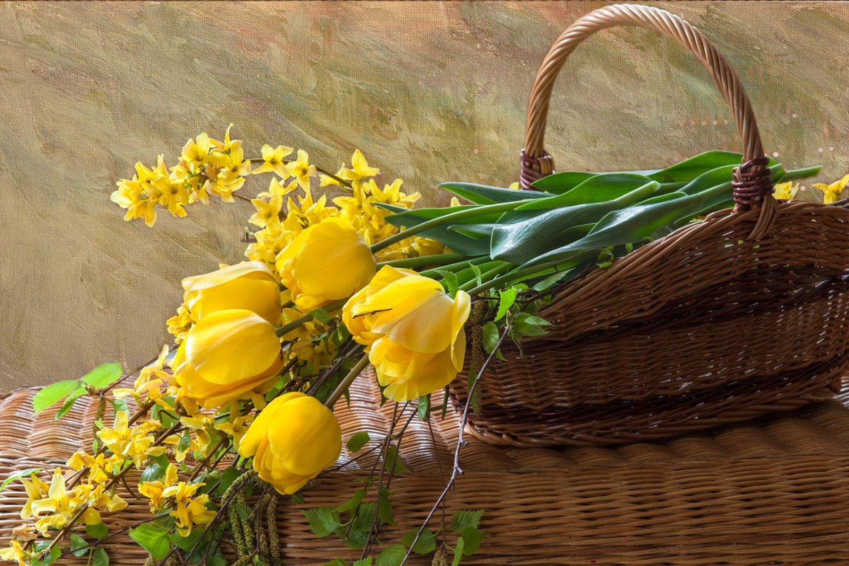 Корзина с желтыми тюльпанами