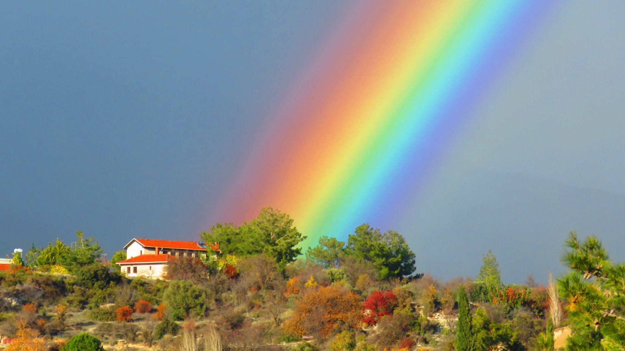 Радуга фото картинки красивые