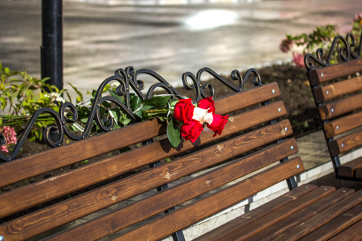 Цветы на скамейке