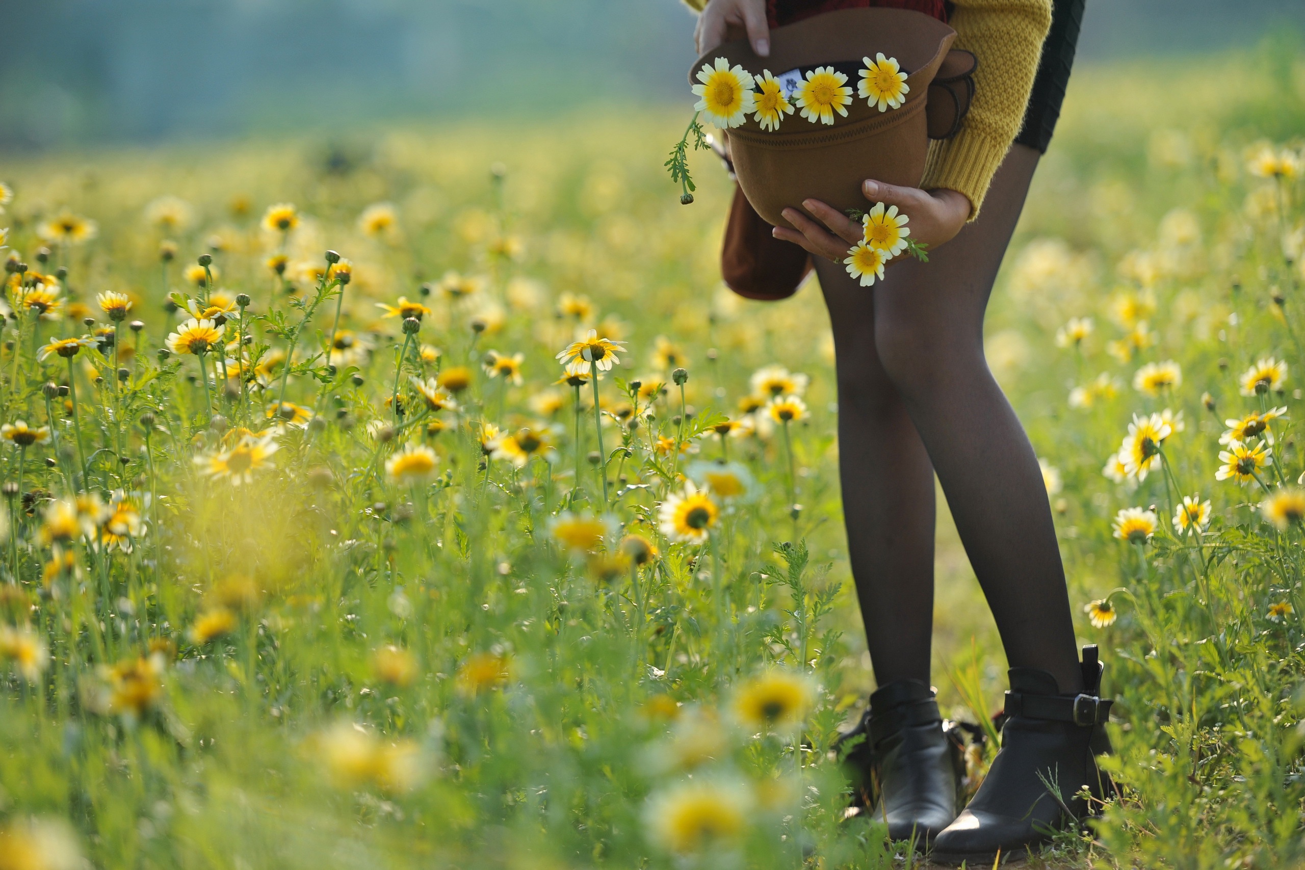 Показала свою киску на фоне полевых цветов 