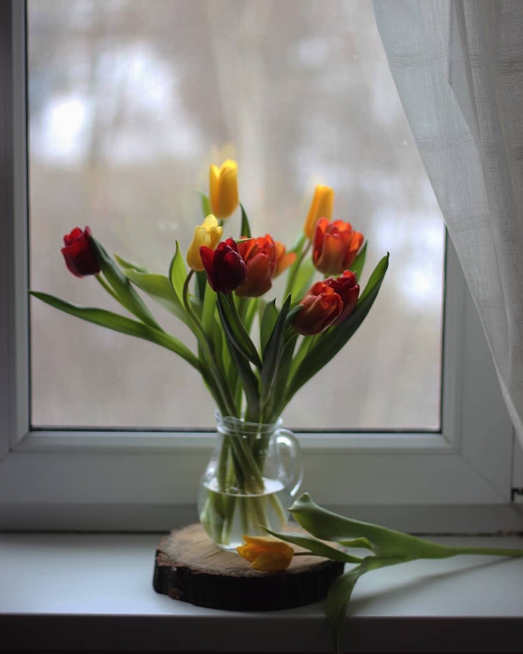 Тюльпаны на окне в деревне