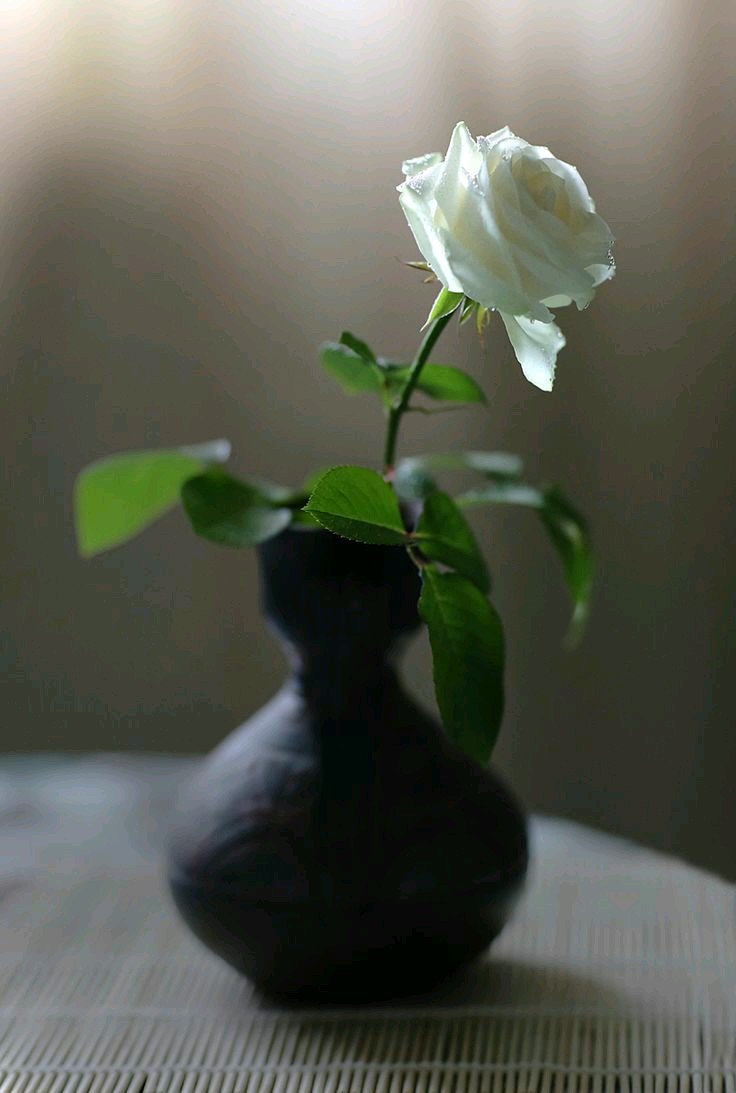 Розы в вазе