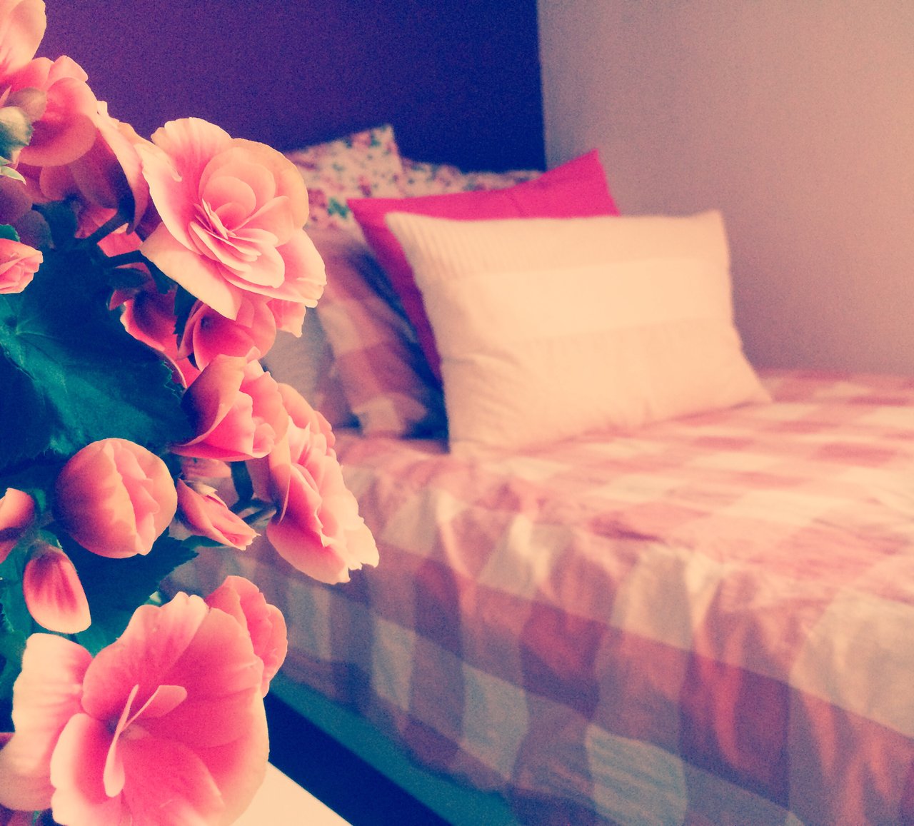 Цветы на кровати дома фото